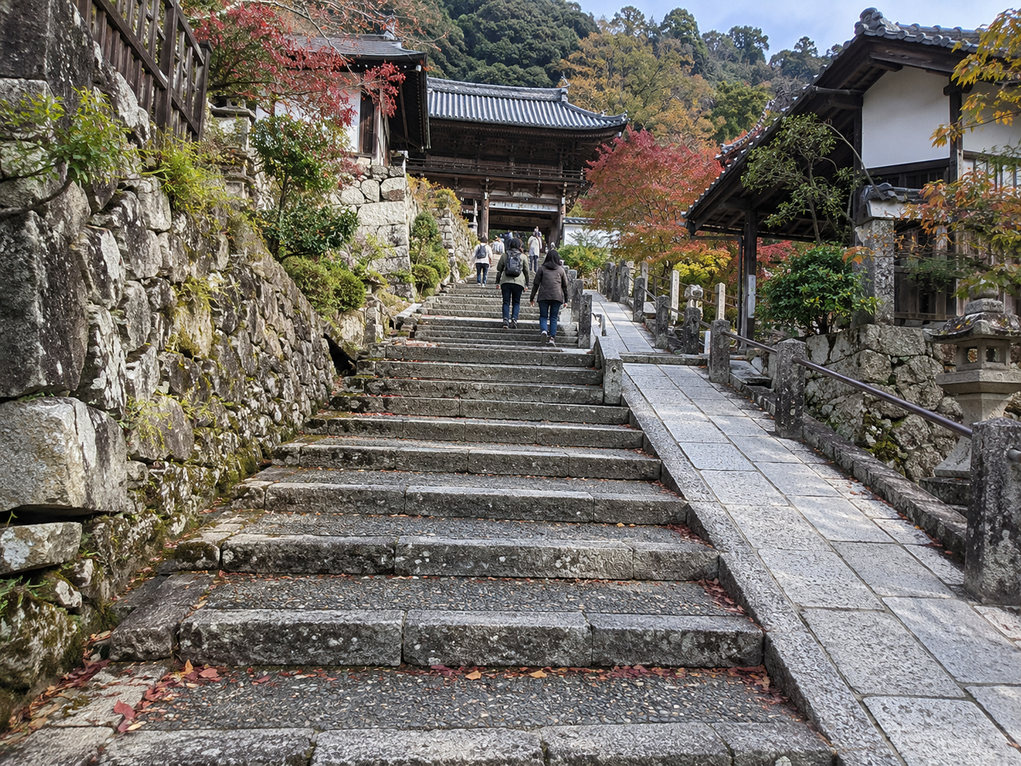 京都旅行を楽しみにしていた女性のイメージ